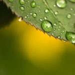 Sustainable Projects