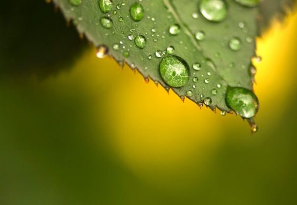 Sustainable Projects